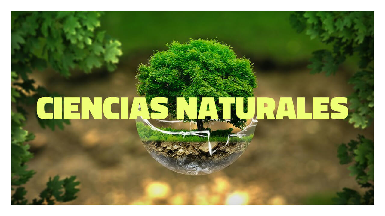 naturales ciencia naturales